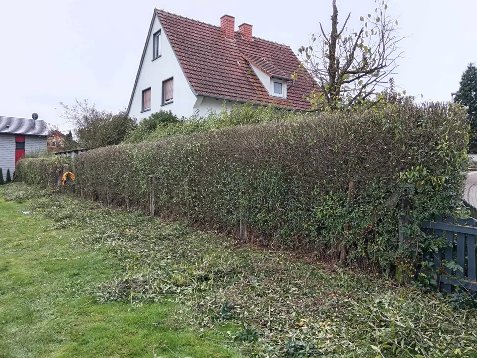 Heckenrückschnitt an der Grundstücksgrenze — Arbeit von DeinHandwerker24, Schmalkalden