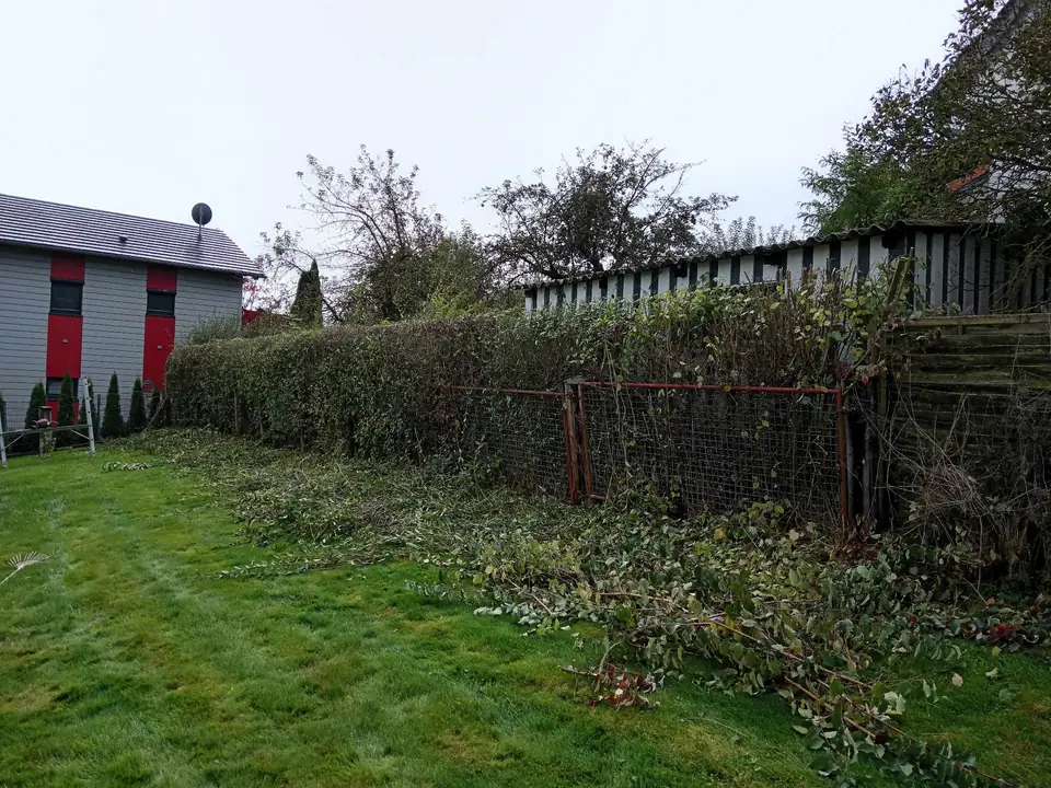 Schnittgut auf der Wiese — Arbeit von DeinHandwerker24, Schmalkalden