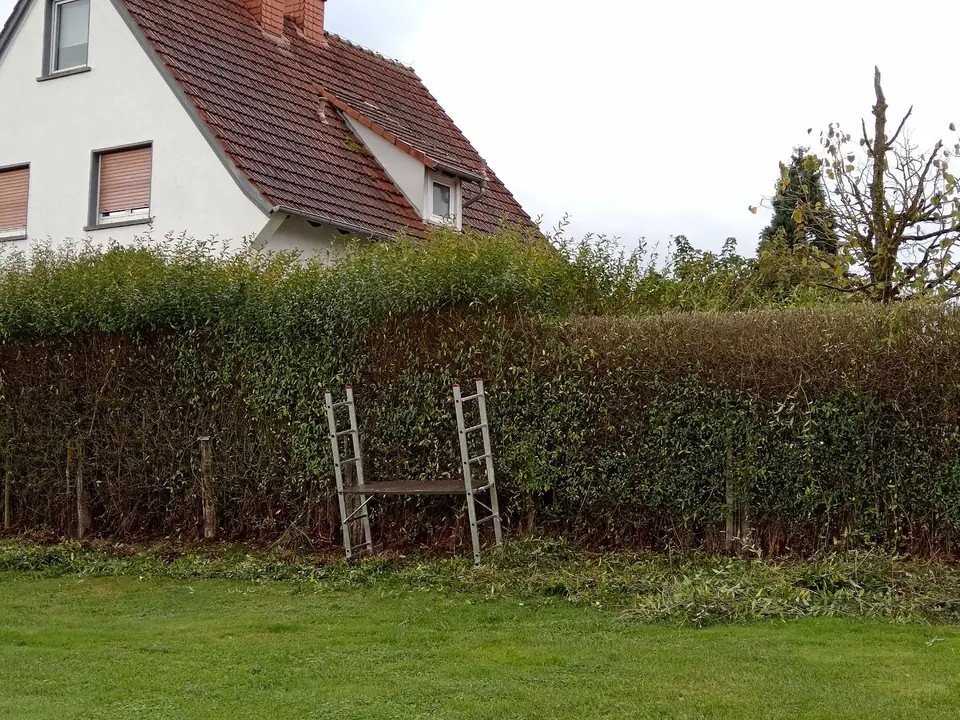 Hecke auf gleiche Höhe gebracht — Arbeit von DeinHandwerker24, Schmalkalden