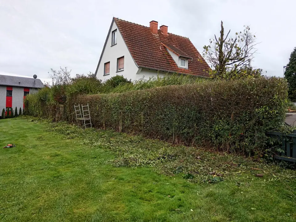Heckenreihe entlang des Grundstücks — Arbeit von DeinHandwerker24, Schmalkalden