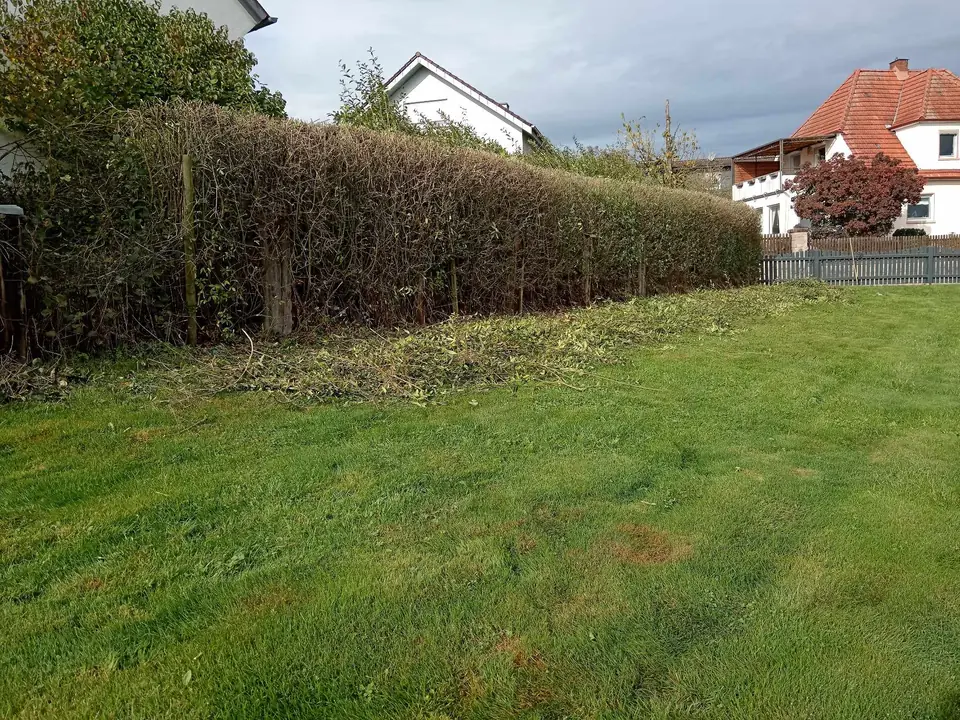 Gekürzte Hecke am Hang — Arbeit von DeinHandwerker24, Schmalkalden