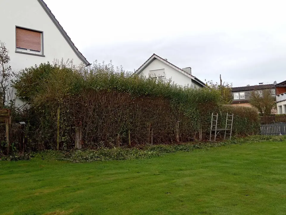 Hecke rundum zurückgeschnitten — Arbeit von DeinHandwerker24, Schmalkalden