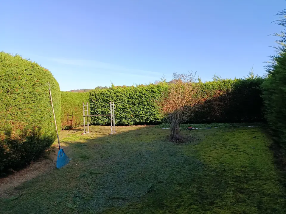 Hohe Hecke im Garten — Arbeit von DeinHandwerker24, Schmalkalden