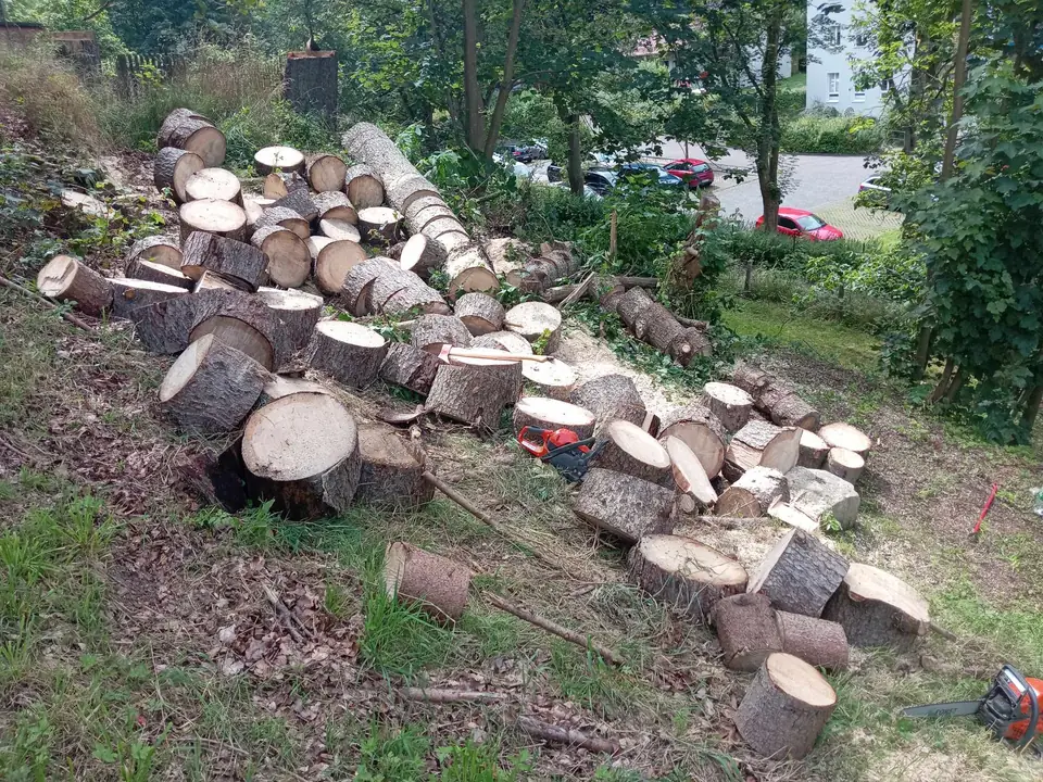 Holzstücke am Hang — Arbeit von DeinHandwerker24, Schmalkalden