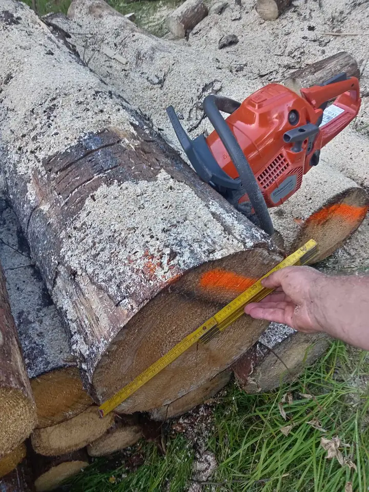 Maß nehmen am Stamm — Arbeit von DeinHandwerker24, Schmalkalden