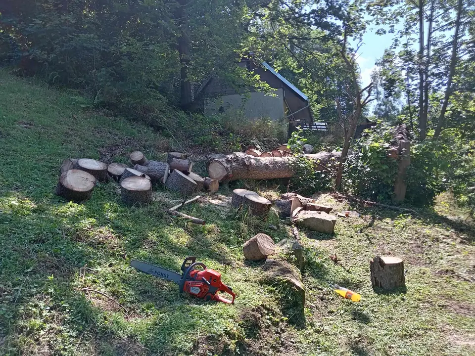 Stämme am Hang zerlegt — Arbeit von DeinHandwerker24, Schmalkalden