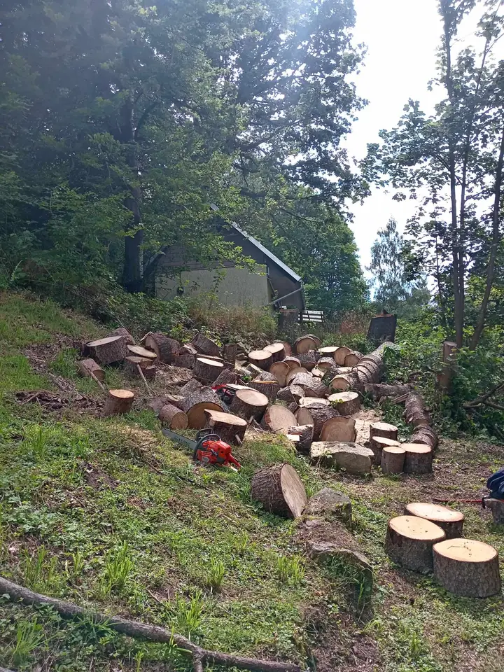 Stammscheiben — Arbeit von DeinHandwerker24, Schmalkalden